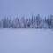 Forest Ranger's House, Authentic Lappish atmosphere - 阿卡斯洛姆波罗