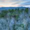 On The Rocks Enjoy gorgeous mountain views from rocking chairs on the deck - Ellijay