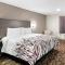 Red Roof Inn & Suites Lexington - Hamburg - 列克星敦