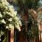 Jardin Bleu - Marrakech