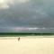 Zen-Zanzibar Beach Front Villa - Uroa