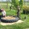 Boerencamping Swarthoeve - Wormer