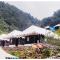River side camp chopta - Sari