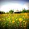 Roundhouse Yurt stunning views Totnes Dartmouth - 托特尼斯