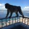 Duquesa Regents apt, large balcony with spectacular sea views close to port and beach - Manilva
