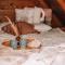 Poddasze dla Znajomych - apartament z gorącą balią nad Jeziorem Czorsztyńskim - okolica Czorsztyn, Szczawnica, Velo Czorsztyn, Krościenko, Zakopane, Gorce, Pieniny, Tatry