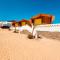 Palma Beach Camp - Nuweiba