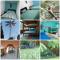 SOL & SELVA Hostal Mocoa Putumayo - Mocoa