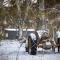 Big Yard Escapes - Two Off-Grid Tiny Houses on the Mowamba River