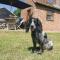 Wood Farm Stables - Sleeps 6-8 - Beccles