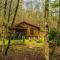 Dragonfly Cabin - Bryson City