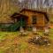 Dragonfly Cabin - Bryson City