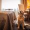 PREMIUM Business Hotel Bratislava