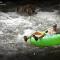 Ultimate Log Cabin Experience with BREATHTAKING Views - Yonah