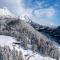 Luxury old wood mountain chalet in a sunny secluded location with gym, sauna & whirlpool - شيفو أم فيلدن كايزر