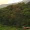 The Rainforest Ecolodge - Sinharaja - Deniyaya