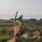 Inishowen Ocean-View Cabin - Drumaville