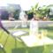 Annexe 43