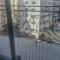 Lovely Hotel & Apartment for rent in center of Gjilan