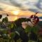 B&B Relais da Clorinda