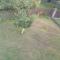 Cottage Eminem with garden and view of Sarajevo