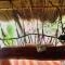 Sanctuaria Treehouses Busuanga