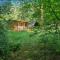 The Shack in the Woods - 雷迪奇
