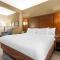 Comfort Suites At the University
