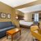 Comfort Suites At the University
