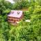 Cloud 10 Mountaintop - Sylva