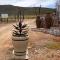 Botterboom - Private Karoo Campsite - Barrydale