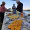 Five Star Nile Cruise from Aswan to Luxor