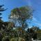Charming Nature House/ Finca Tradicional Cafetera