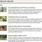 Modern Luxuries Guesthouse
