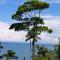 Bella Vista Corcovado