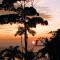 Bella Vista Corcovado