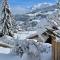 Chalet à Megève-Vauvray - Grands Appartements , vue Mont Blanc - 代米考迪亚