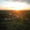 Kuoom Serengeti