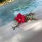 4 Elementos Guest House - Arraial d'Ajuda