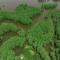 Tiny Emerald -cabin On Emerald Isle With Kayaks! - Greenwood Tiny Emerald -cabin On Emerald Isle With Kayaks! - Greenwood