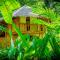 Water to Forest Ecolodge