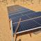 Authentic Desert Camp - Al Wasil