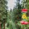 Private Mountain Home by Summit County Mountain Retreats