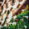 Hotel Guanxi