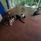 Isla Hermosa Guesthouse