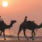 The Ritz-Carlton, Dubai - Dubaj