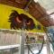 Trip Hostel e Pousada