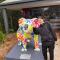 Koala Cabins Sunshine Coast