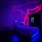 The Jungle SPA Strasbourg
