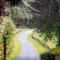 The Falcondale Country House Hotel